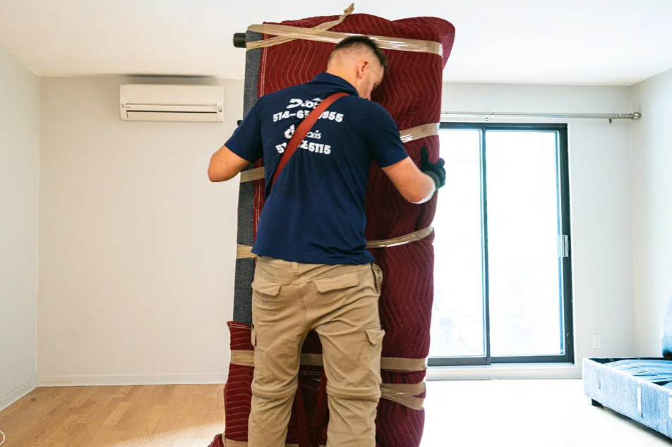 furniture movers in North Shore